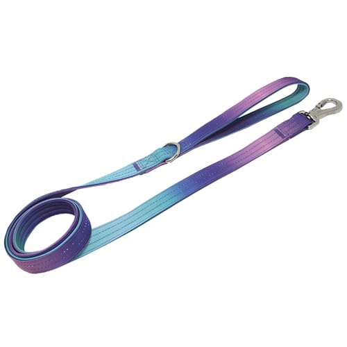 LUMINFLY Hundeleine mit drehbarem Haken, Nylon-Material, Farbverlauf, bequemer Griff für alle Rassen, 150 cm LUMINFLY Hundeleine mit drehbarem Haken, Nylon-Material, Farbverlauf, bequemer Griff für alle Rassen, 150 cm von LUMINFLY