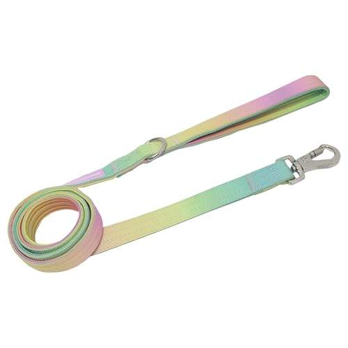LUMINFLY Nylon-Hundeleine, 150 cm, mit Farbverlauf, drehbarem Haken und weichem Griff, ideal für Rassen LUMINFLY Nylon-Hundeleine, 150 cm, mit Farbverlauf, drehbarem Haken und weichem Griff, ideal für Rassen von LUMINFLY