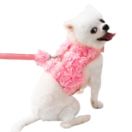 LUOFENG Haustier-Kleid, Spitzenkleid mit Leinen, Bichon-Kleid, Pullover, Outfit, Hunde-Fotokleidung von LUOFENG