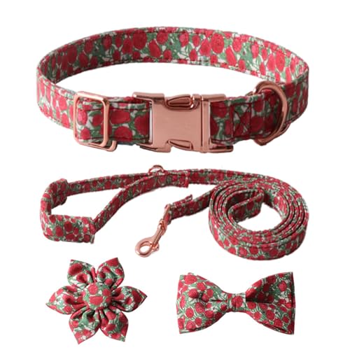 LUOFENG Hundehalsbänder, 4-teiliges Set, niedliches Hundehalsband + Leine + Krawatte, Set mit Blumendekoration für modische Haustierbesitzer, hebt Ihren Haustierstil auf von LUOFENG