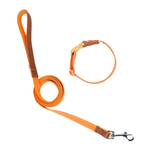 LUOFENG Trainingsleine, Hundehalsband, Leine, Schlupfleine, Halsband, langes Haustier, starkes Training, Spazierengehen, Schwimmen, Wandern von LUOFENG