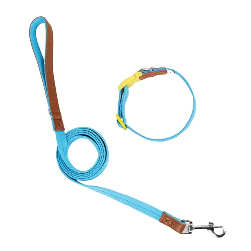 LUOLIE Hundehalsband, Hundeleine, Schlupfleine, Halsband, Seil, langes Haustier, starkes Training, Spazierengehen, Schwimmen, Wandern von LUOLIE