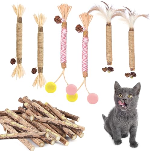 Katzenminze Sticks, 26 Stück Matatabi Katzen Kauhölzer Sticks Kaustangen Katzenminze Spielzeug Katzen Zahnpflege Spielzeug Matatabi Katzensticks als Katzenspielzeug für Katzen Natürlich Sicher von LUOLIPEYA