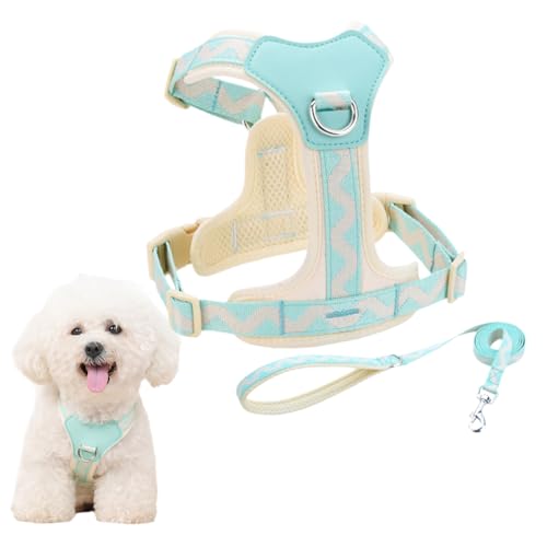 Hundegeschirr und Leine Set Hundegeschirr Kleine Hunde mit Leine Verstellbares Anti Zug Anti-Erstickung Hund Brustgeschirr mit Dicker für Kleine Hunde Katzen (blau) von LUVDECO