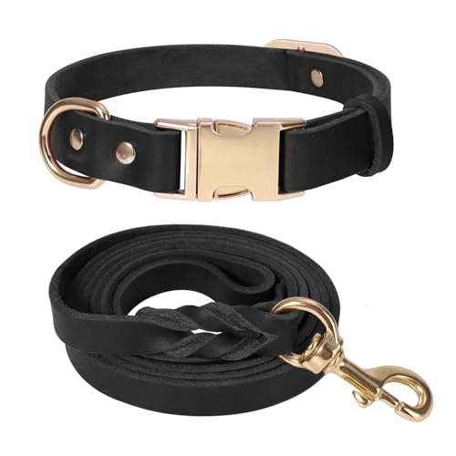 LWBMG Hundehalsband und Leine, Leder, strapazierfähig, mit Metallschnalle, verstellbares Halsband und Leine, weiche Hundeleine und Halsband für große Hunde, 1,8 m, Schwarz von LWBMG