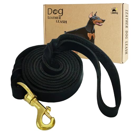 LWBMG Hundeleine aus Leder, 1,8 m x 2,5 cm, robuste Hundeleine aus echtem Leder, geflochtene Hundeleine, weich und bequem, für große, mittelgroße und kleine Hunde von LWBMG