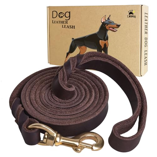 LWBMG Hundeleine aus Leder, strapazierfähig, geflochten, bequem für mittelgroße und große Hunde, 2,4 m x 1,27 cm, Braun von LWBMG