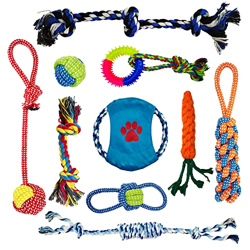 LWBMG Hundespielzeug für Welpen, 10 Stück Heavy Duty Dog Chew Toys for Small Medium Large Dogs, Cotton Dog Rope Toys, Puppy Chew Toys for Teething von LWBMG