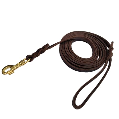 LWBMG Leder-Hundeleine, 1,2 m x 1,2 cm, Leder-Hundeleine für kleine Hunde, starkes, stabiles Echtleder, geflochtene Hundeleine, weich und bequem, Trainingsleine für kleine und mittelgroße Hunde von LWBMG