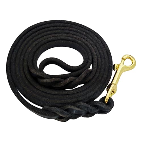 LWBMG Leder-Hundeleine, 1,2 m x 1,2 cm, robuste Hundeleine aus echtem Leder, geflochtene Hundeleine, weich und bequem, für mittelgroße und kleine Hunde, Schwarz von LWBMG