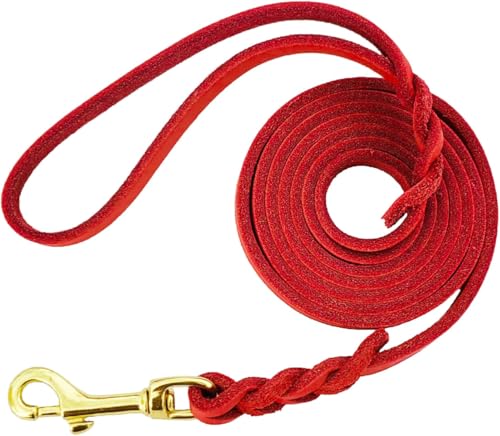 LWBMG Leder-Hundeleine, 1,8 m x 1,27 cm, robuste Hundeleine aus echtem Leder, geflochtene Hundeleine, weich und bequem, für große, mittelgroße und kleine Hunde, Rot von LWBMG