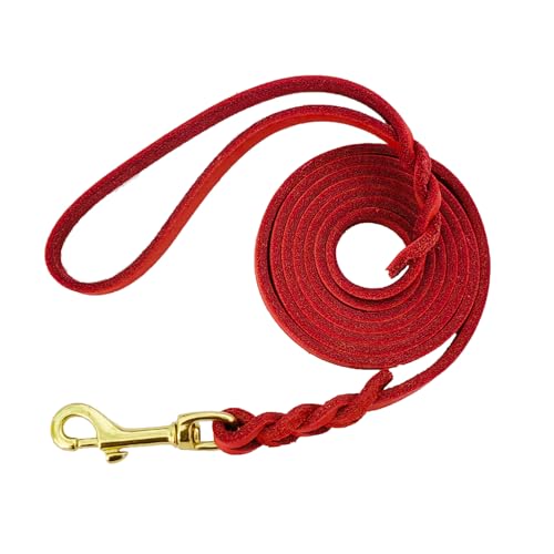 LWBMG Leder-Hundeleine für kleine Hunde, 1,8 m, dünne geflochtene Hundeleine, weiches Echtleder, Trainingsleine für kleine und mittelgroße Hunde, 1,9 x 1,8 m, Rot von LWBMG