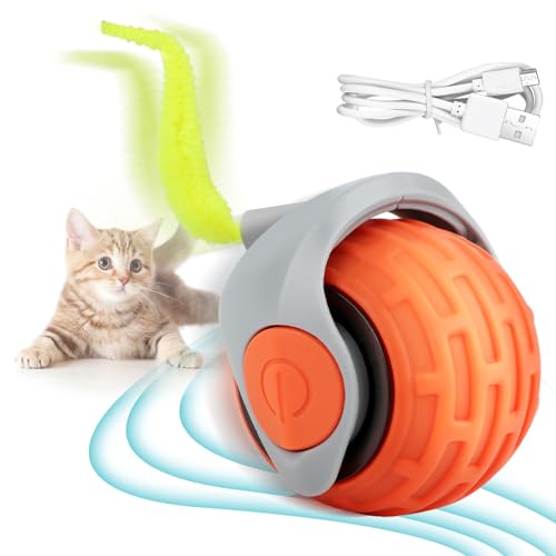 Katzenspielzeug Interaktives Katzenball Elektrisch,USB-Aufladung Ball Automatisch,Interaktiver Spielball für Katzen 360°,Speedy Tail Katzenspielzeug Rolling Balls Geeignet für Kätzchen zum Spielen Katzenspielzeug Interaktives Katzenball Elektrisch,USB-Aufladung Ball Automatisch,Interaktiver Spielball für Katzen 360°,Speedy Tail Katzenspielzeug Rolling Balls Geeignet für Kätzchen zum Spielen von LWMTT
