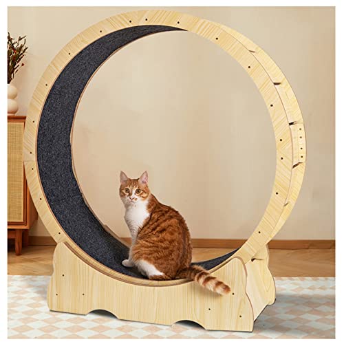 Katzenlaufrad Katzen In Allen Größen Haustier-Laufband Indoor-Übung Laufrad Für Katzen Mit Leisen Laufrollen, Abnehmbare Teppich-Laufbahn, Verriegelungsmechanismus (Size : 102x36x108cm/40x14x42.5in) von LXLZYXSF