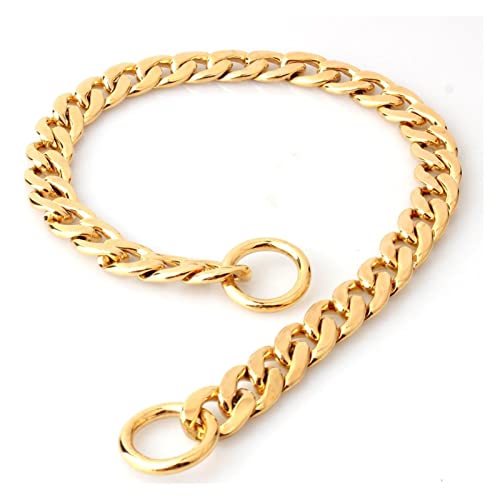 Halsband für Haustiere, 11 mm, P-Kette, kleines Hundehalsband, Halskette, Edelstahl, Welpen-Metallkette, Haustierprodukt (Farbe: Gold, Größe: 4XL, 11 mm x 70 cm) (Gold, 4XL, 11 mm x 70 cm) von LXYDPZ