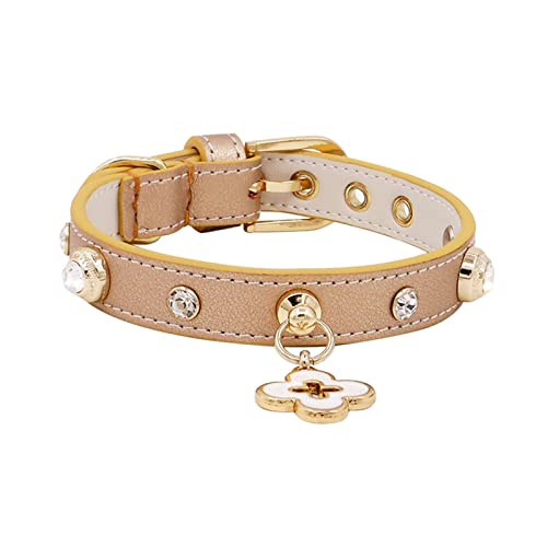 Halsband für Haustiere, Halsbänder für Haustiere, Kristallanhänger ohne Anhänger, weiches Leder, große Diamanten, Halsbänder für Hunde, Katzen und Welpen (Farbe: Beige, Größe: M 1,8 x 30–36 cm) (Hel von LXYDPZ