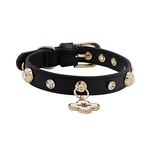 Halsband für Haustiere, Halsbänder für Haustiere, Kristallanhänger ohne Anhänger, weiches Leder, große Diamanten, Halsbänder für Hunde, Katzen und Welpen (Farbe: Beige, Größe: M 1,8 x 30–36 cm) (Sch von LXYDPZ