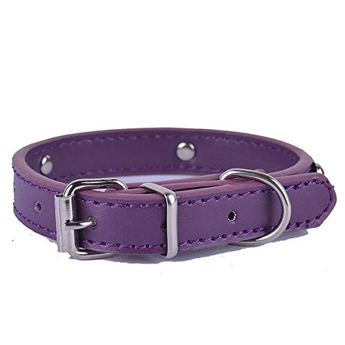 Halsband für Hunde, Ortungshalsband für Hunde, Lederhalsband für Welpen, Katzen, kleine Hunde, Umhängeband, verstellbar (Farbe: 5) (5) von LXYDPZ