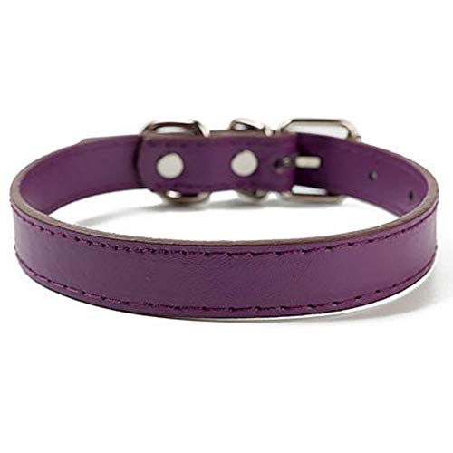 Halsband für Hunde Ortungshalsband für Hunde Hundehalsband, Lederhalsband für Welpen, einfaches, einfarbiges, verstellbares Hundehalsband (Farbe: 1) (1) von LXYDPZ