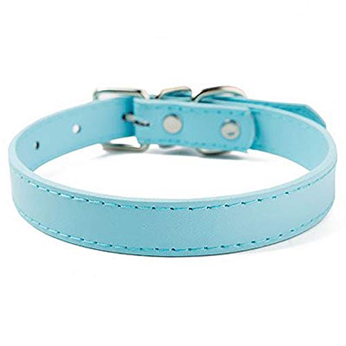 Halsband für Hunde Ortungshalsband für Hunde Hundehalsband, Lederhalsband für Welpen, einfaches, einfarbiges, verstellbares Hundehalsband (Farbe: 1) (7) von LXYDPZ