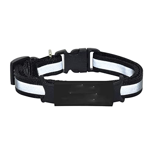 Halsband für Hunde Ortungshalsband für Hunde Personalisiertes Namensschild Katzenhalsband Glöckchenhalskette Sicherheitsreflektierendes Nylon Individuell graviertes ID-Namensschild Katzenhalsband W von LXYDPZ