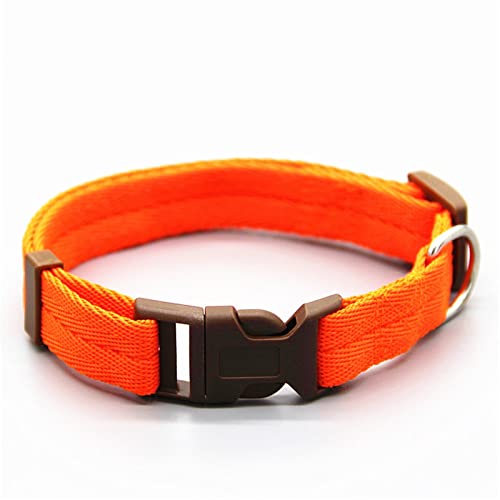 Haustierhalsband, schöne verstellbare Fliege, Hundeleine, Halskette, Hundehalsband als Haustierzubehör für Welpen, Katzen (Orange, L) (Orange L) von LXYDPZ