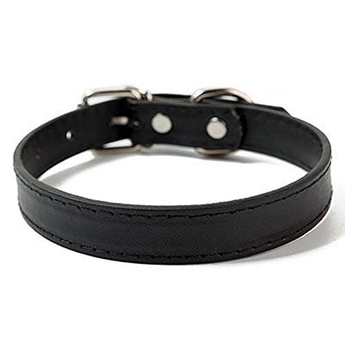 Hundehalsband, Hundehalsband aus Leder für Welpen, einfaches, einfarbiges, verstellbares Hundehalsband (7) (6) von LXYDPZ