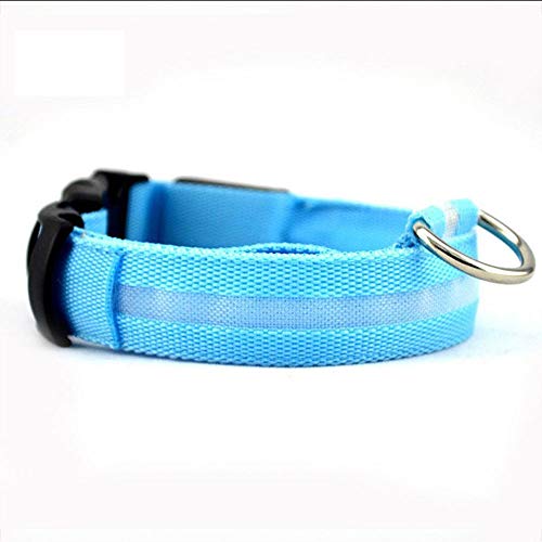 Hundehalsband Leuchtendes Katzenhalsband Hundehalsband mit Blinklicht Sicherheitshalsband aus Nylon Haustierbedarf für große Hunde Zubehör (1) (1) von LXYDPZ