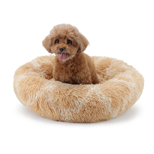 LY4U kleines Katzenbett für Innenkatzen, Donut Beruhigendes Kleines Hundebett, Flauschiges Warmes Welpen Kätzchen Haustier Runde Betten, Maschinenwaschbar von LY4U