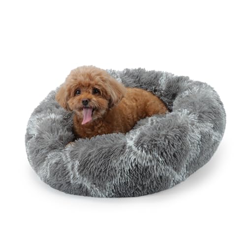 LY4U kleines Katzenbett für Innenkatzen, Donut Beruhigendes Kleines Hundebett, Flauschiges Warmes Welpen Kätzchen Haustier Runde Betten, Maschinenwaschbar von LY4U