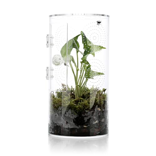 Springspinnengehege, 29,2 x 15,2 x 15,2 cm, Luftloch, 1,9 cm Mikro-Habitat-Terrarien, Arboreal Reptilien-Tank mit Tür vorne, Vogelspinnen-Gehege, Pflanzen-Gewächshaus von LYL LEYOULAND