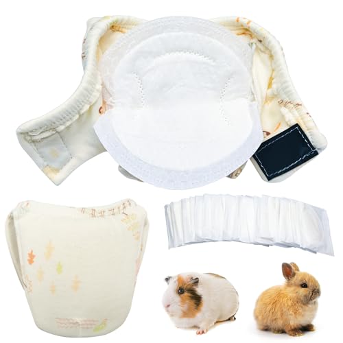 Windeln für kleine Haustiere, Meerschweinchen, wiederverwendbare Eichhörnchen-Windeln, waschbar, speziell für den Einsatz auf Haustier-Eichhörnchen, kleinen, mittelgroßen Meerschweinchen, Beige, Größe von LYML.E1