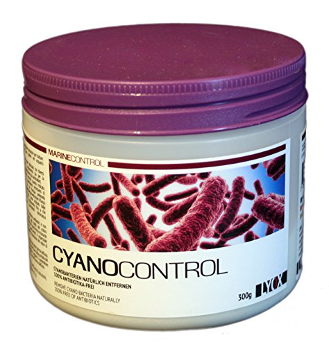 LYOX CyanoControl 300g von LYOX