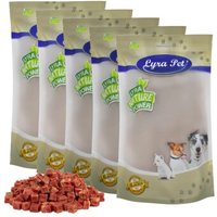 Lyra Pet Entenfleischwürfel mit Fisch 5 kg von LYRA PET