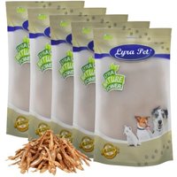 Lyra Pet Kleine Fische 5 kg von LYRA PET