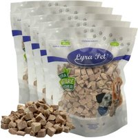 Lyra Pet Lyra Entenbrustwürfel gefriergetrocknet 1 kg Lyra Pet Lyra Entenbrustwürfel gefriergetrocknet 1 kg von LYRA PET