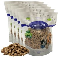 Lyra Pet Lyra Entenleberwürfel gefriergetrocknet 1 kg Lyra Pet Lyra Entenleberwürfel gefriergetrocknet 1 kg von LYRA PET