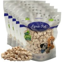 Lyra Pet Lyra Hühnerbrustwürfel gefriergetrocknet 1 kg Lyra Pet Lyra Hühnerbrustwürfel gefriergetrocknet 1 kg von LYRA PET