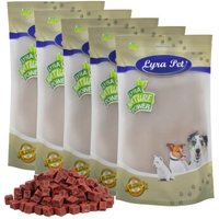 Lyra Pet Pferdefleischwürfel 5 kg von LYRA PET