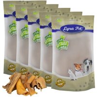 Lyra Pet Rinderkopfhaut Stücke 4 - 8 cm 5 kg von LYRA PET