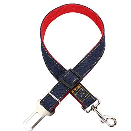 Hund Leine Robuste Schleppleine Für Hunde Dog Leash Bequemen Hund Sicherheitsgurt Leine for Alle Größe Hunde Bergwandern Training Camping Jagen Garten red von LYsng