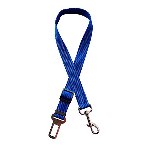 Hund Sicherheitsgurt Weiche Leine Schleppleine Für Hunde Langlebig Dog Leash Hund Leine for Den Täglichen Spaziergang Laufen Training Alle Größe Hunde Blue von LYsng