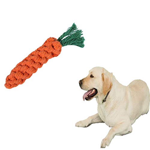 LYsng Hundespielzeug Welpen Ungiftig Hundetau Hundespielzeug Set Langlebig Spielzeug FüR Hunde Dog Toy Für Kleine Mittlere Hunde Hundespielzeug Hund Spielzeug 1 von LYsng