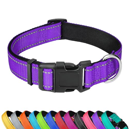 LZGOPE Reflektierendes Hundehalsband, verstellbar, weiches Neopren, gepolstert, Nylon, Haustierhalsbänder mit Schnalle für mittelgroße Hunde, Lila, S von LZGOPE