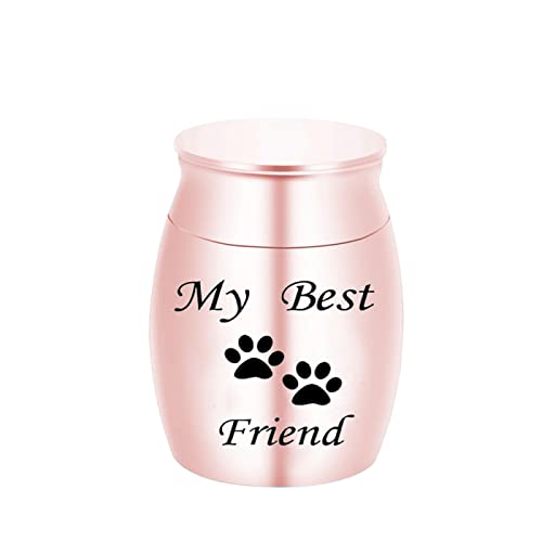 LZHLMCL Asche Box Haustier Asche Halter Denkmal Mein Bester Freund Katze Hund Vogel Urne Mini Urne Haustier Asche Hund Pfotenabdruck Urne Pink 30X40Mm von LZHLMCL