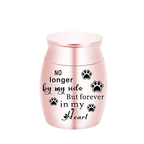 LZHLMCL Einäscherung Urnen Asche Mini Rosa Ascheglas Menschliche Asche Für Haustiere Vögel Katze Aschebehälter Gedenkstätten Hund Feuerbestattung Urne Schatulle Rosa 30X40Mm von LZHLMCL