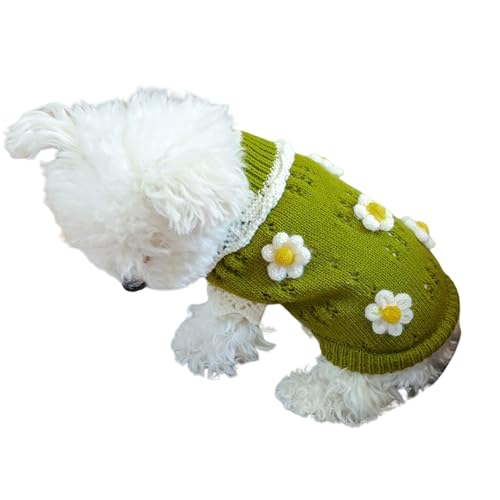 LZHUYE Hundekleidung Hundekleidung Hund Winter Warmes Schweißhemd Blume Pyjamas Pullover Für Kleine Hund-grün-XL von LZHUYE