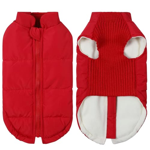 LZHUYE Hundekleidung Winter Haustierhundjacke Winddicht Warme Hunde Kleidung Für Kleine Mittelgroße Hunde Katzen Welpe Down Mantel Chihuahua-rot-XL von LZHUYE