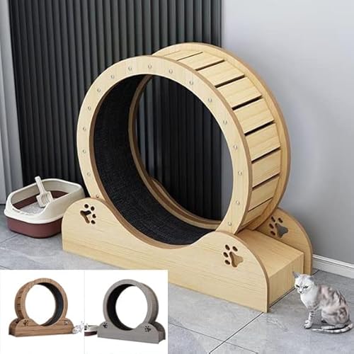 Katzenlaufrad/Katzenrad Indoor-Katzenlaufband/Catwheel Für Übung Laufen Übung, Rueda para Gatos Groß/Mittel/Kleine Hund Haustier Katzen, Katze Übungsräder Indoor-Laufband/Katze Spinning Wheel von LZMZMQ