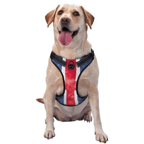 Atmungsaktives und verstellbares Hundegeschirr mit Leine, britische Flagge, Hundegeschirr für große, mittelgroße und kleine Hunde von LZNJZ